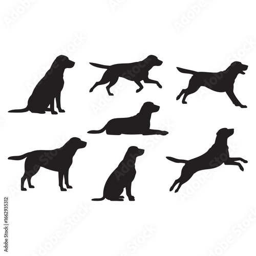 A collection of black Labrador Retriever dog silhouettes in various action poses like running and sitting, vector illustration