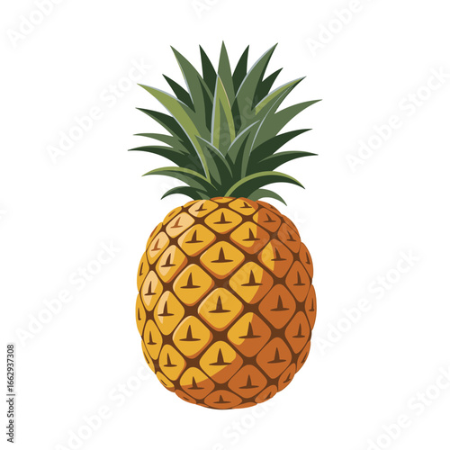 A detailed and realistic illustration of a whole ripe tropical pineapple fruit with a green leafy crown, vector illustration