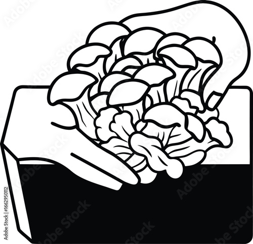 A person hands carefully harvesting a cluster.