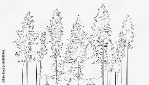 Architectural Drawings, Minimal style cad tree line drawing, Side view, Black and white tree sketch illustration showing a forest landscape