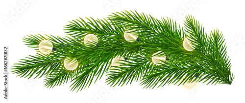 Realistic coniferous branch, spruce twigs with bright Christmas lights. Christmas tree branches with garland round electric bulbs. For Xmas, New Year posters, holiday decorations. Vector illustration
