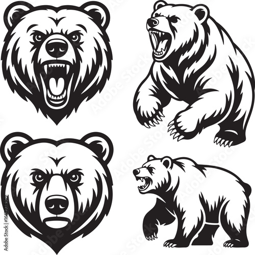 Fierce Grizzly Bear Head Roaring Aggressively Vector Illustration Art