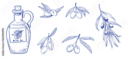 Vector set of hair care ingredients. Organic hand drawn elements. Farm market vegetables. Olive branch. Use for cosmetic package, shop, store, products, spa salon, wellnes program, skin.
