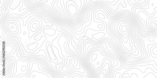 White wave paper curved reliefs abstract background, Abstract topographic contours map background, Topography map background. Vector geographic contour map. 