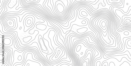 White wave paper curved reliefs abstract background, Abstract topographic contours map background, Topography map background. Vector geographic contour map. 