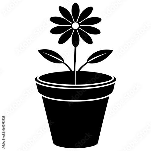 flower in flowerpot