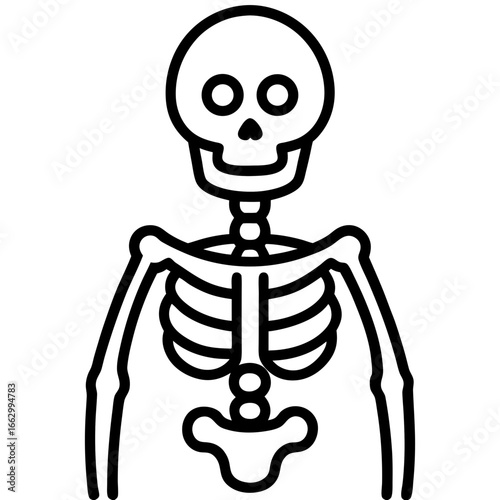 skull and bones