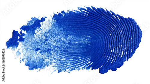 An abstract blue fingerprint paint smear on a white background, symbolizing identity, individuality, and artistic expression through minimal contrast and texture.