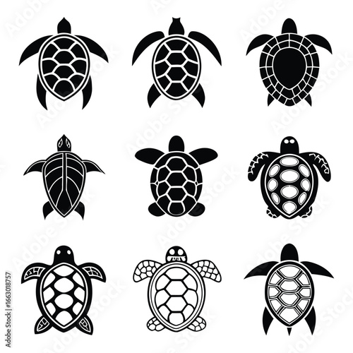 Set of nine stylized sea turtle outlines in various poses and patterns for design projects