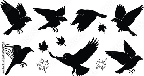 Birds and Autumn Leaves Silhouette