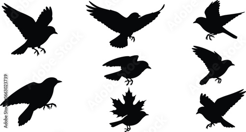 Flying Birds with Leaves Silhouette