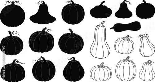 Pumpkin and Squash Bundle Silhouette
