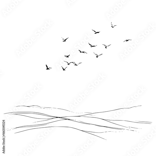 Minimalist flying birds over ocean waves vector illustration black and white drawing landscape design element art print 1