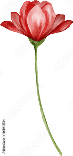 One red flower