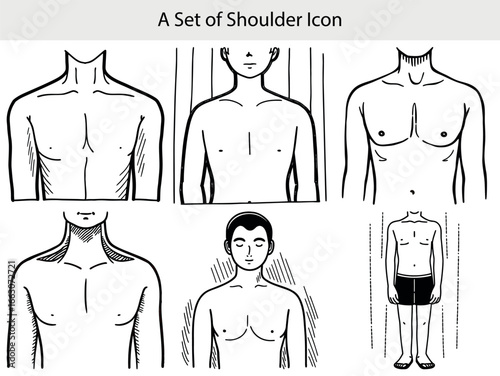 Stylized human torso and shoulder illustrations human anatomy shoulders