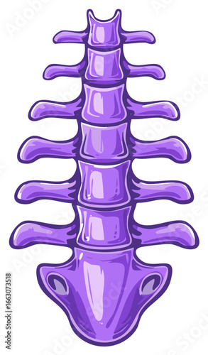 Cartoon lumbar spinal column isolated on a white background in vibrant purple hues