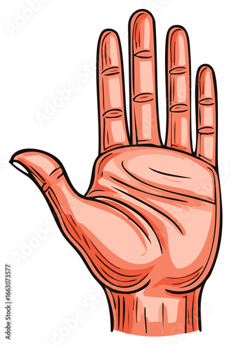 Stylized human hand with open palm and extended fingers vibrant cartoon vector illustration