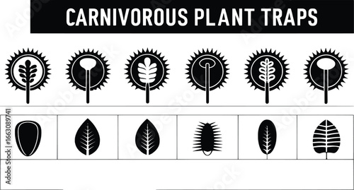 Collection of carnivorous plant traps vector illustrations