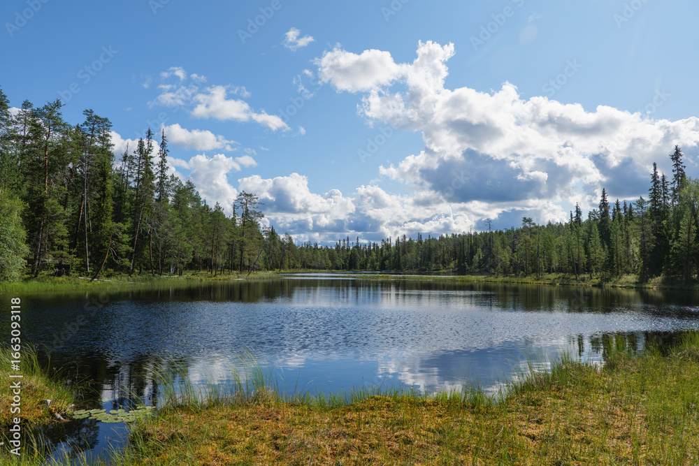 Obraz premium Forest landscape of Finland