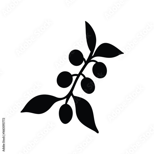 Monochrome rendering of a sprig of coffee beans and leaves art