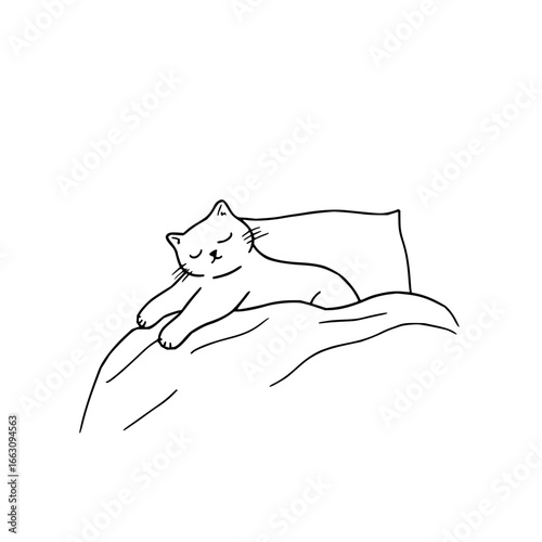 Cute sleeping cat drawing vector illustration for pet lovers and animal themed designs and decoration