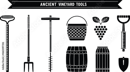 Vintage agricultural tools and vineyard equipment collection