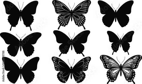 Black and white butterfly silhouettes collection, detailed and simple butterfly vector icons with elegant wing patterns and antenna designs