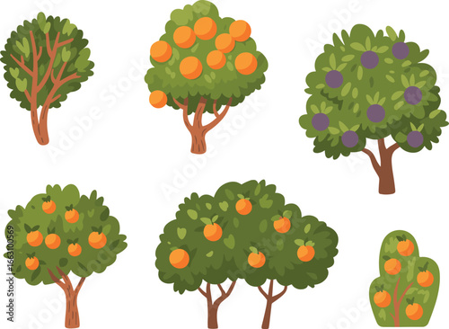Illustration of various fruit trees, orange tree, plum tree, orchard, fresh fruits, green leaves, nature, gardening, farm, agriculture, vector drawing.