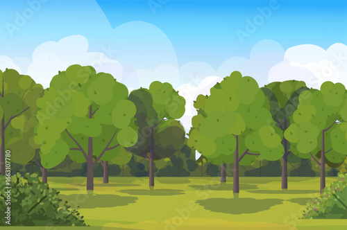  Forest with meadow, trees, bushes, plants. Spring or summer time greenery with blue sky and clouds. Vector illustration Not AI generated
