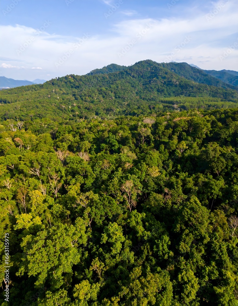 Obraz premium Lush green mountain valley