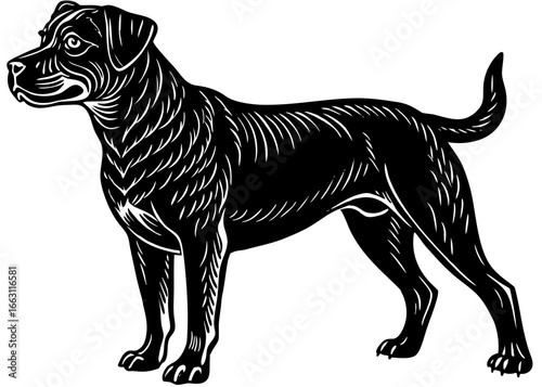 Rottweiler Guard Pose Silhouette Linocut, Protective Dog Vector Illustration