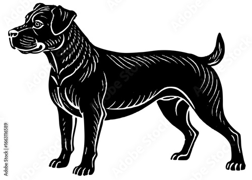 Rottweiler Guard Pose Silhouette Linocut, Protective Dog Vector Illustration