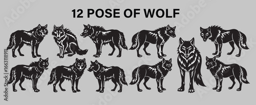 12 Wolf Silhouette Pose Collection