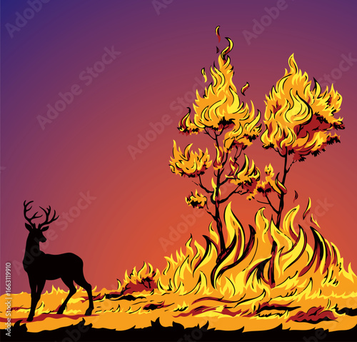 Burning forest. Vector drawing sketch