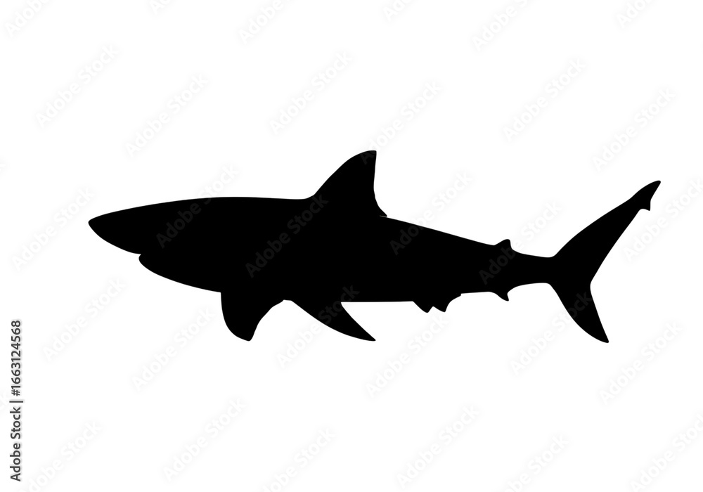 Fototapeta premium Celestial Dance Two Constellations in the Night Sky on transparent background