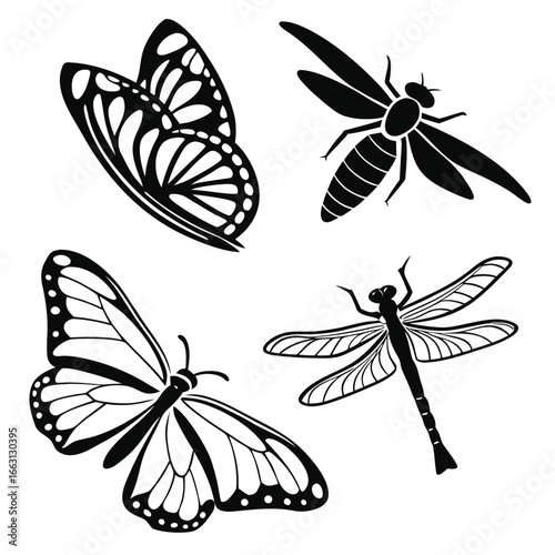 Butterflies and dragonflies butterfly dragonfly