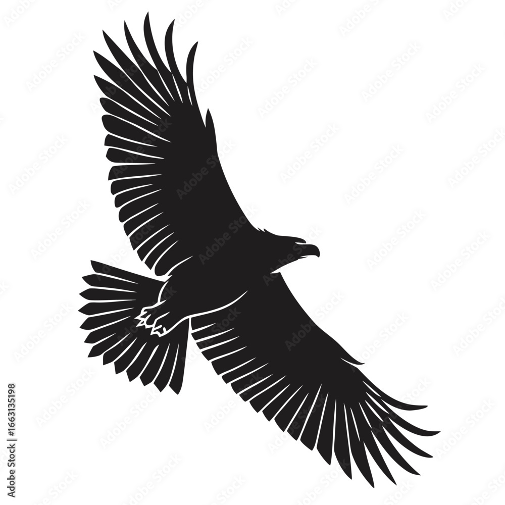 Obraz premium Eagle in storm clouds silhouette