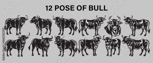 12 Different Pose of Bull Silhouette