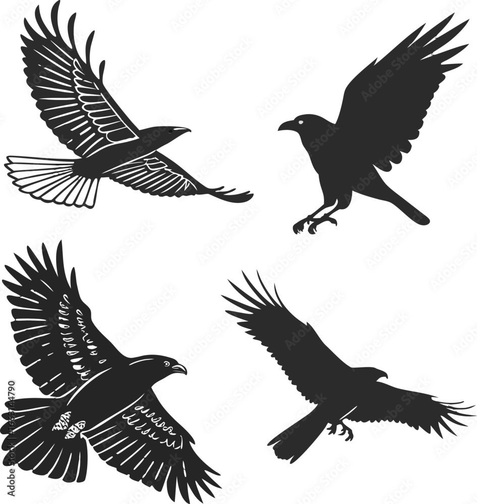 Fototapeta premium Four birds of prey in flight eagle hawk