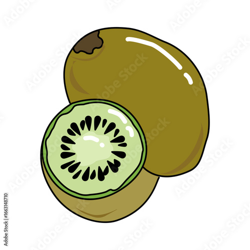 kiwi fruit and kiwi