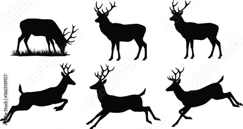 Deer silhouettes, antlered wildlife, grazing and leaping poses, animal motion, forest vector set, nature illustration, dynamic behavior, black graphic