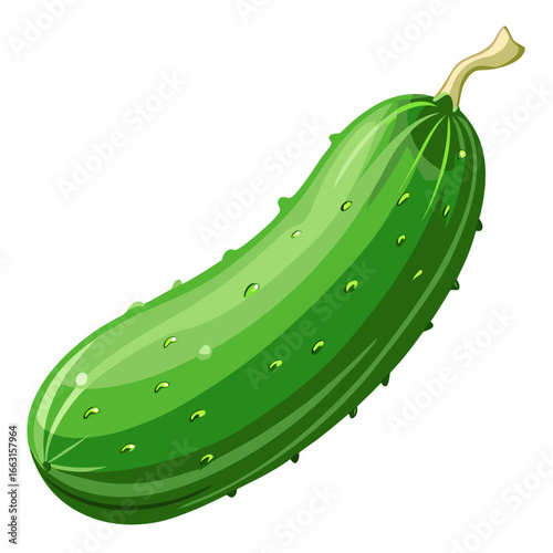 cucumber with leaves
