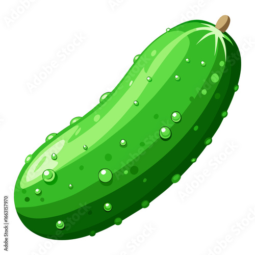 illustration of cucumber