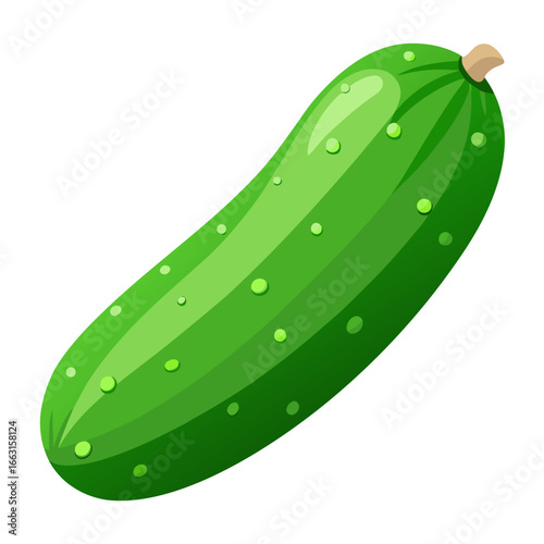 illustration of cucumber