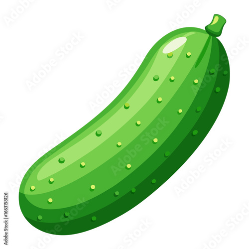 vector illustration of a cucumber