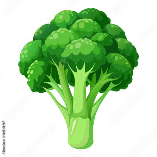 broccoli on a white background