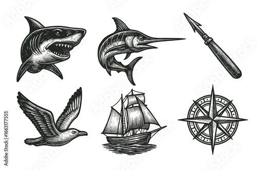Vintage nautical illustrations featuring shark, marlin, seagull, ship, compass, harpoon