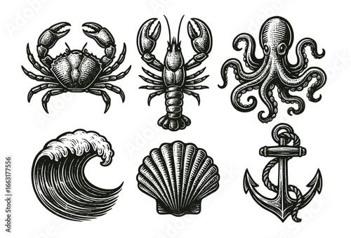 Vintage maritime tattoo designs with sea creatures and nautical elements