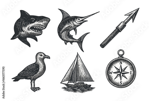 Vintage nautical illustrations shark, swordfish, seagull, sailboat, compass, spear