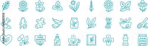 Herbal Medicine Icons Set, Flower, Aloe Vera, Ginger, Leaf, Capsule, Jar, Line Icons